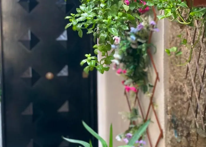 Hotel Il Vicoletto Napoli